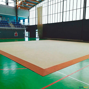 tatami gimnàstica